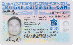 BC driver's licence
